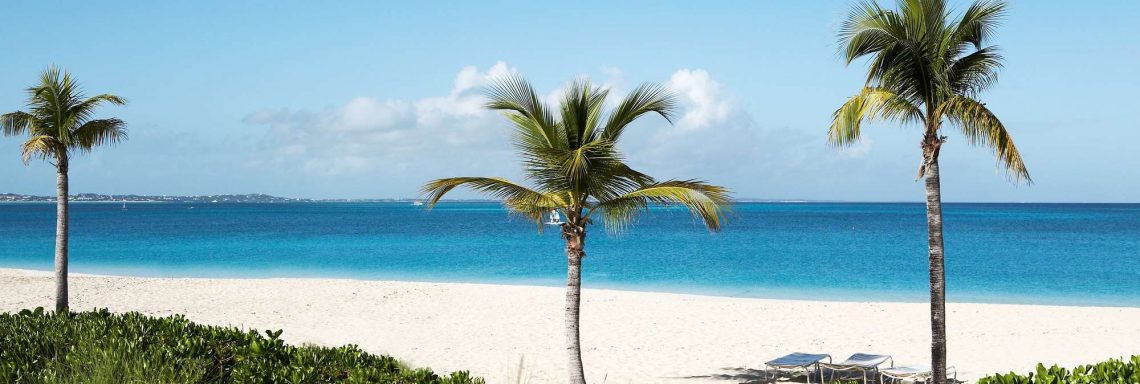 Image d'une plage avec vue sur la mer et les palmiers