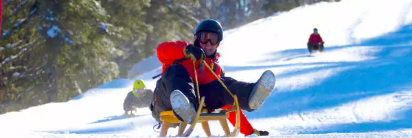 Photo de trois personnes descendant une piste de ski sur des luges