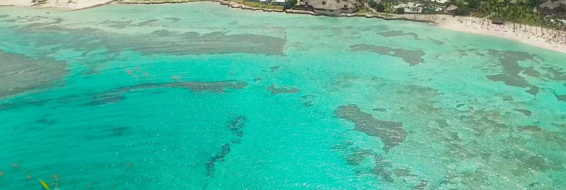 Club Med Punta Cana, en République Dominicaine - Image aérienne de la mer et de la nature environnante du complexe